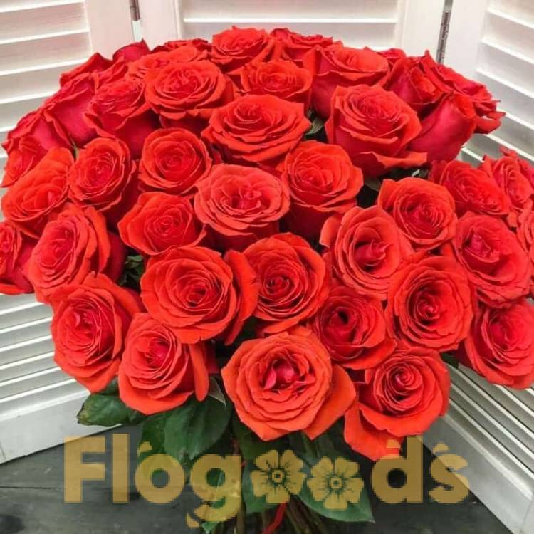 51 красная роза за 19 558 руб.